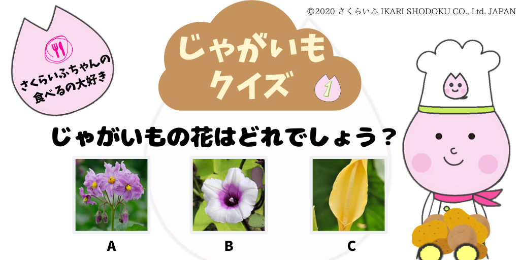 じゃがいも じゃがいも