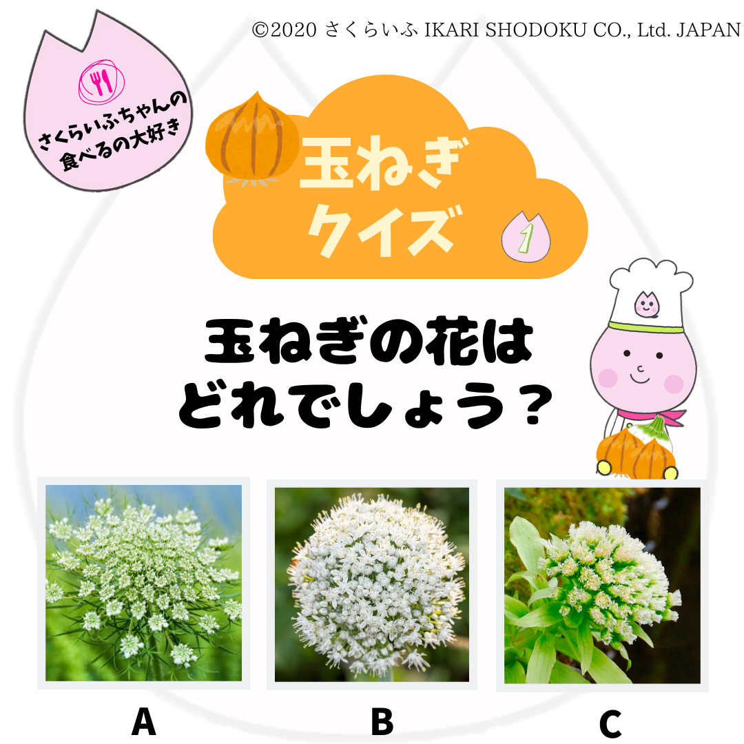玉ねぎ