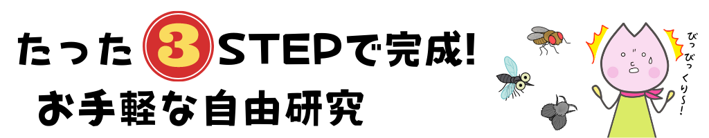 たった3ステップ