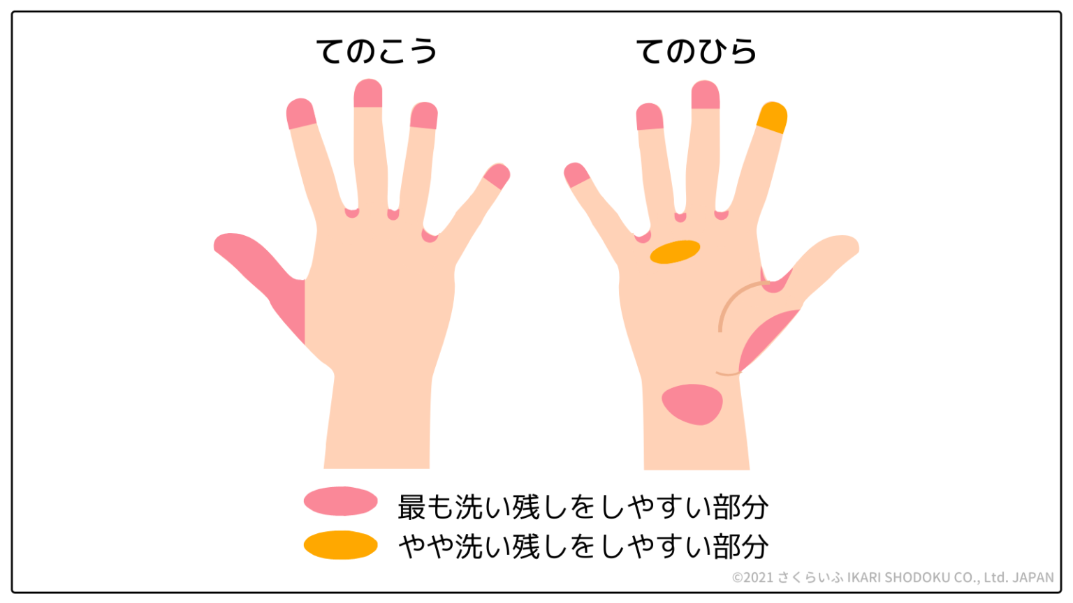 手洗いで汚れが残りやすい場所