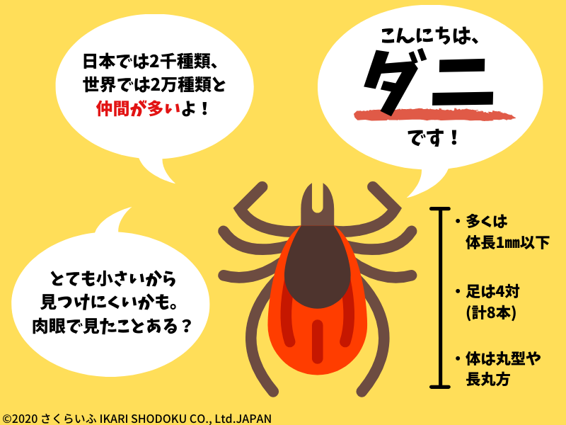 ダニ