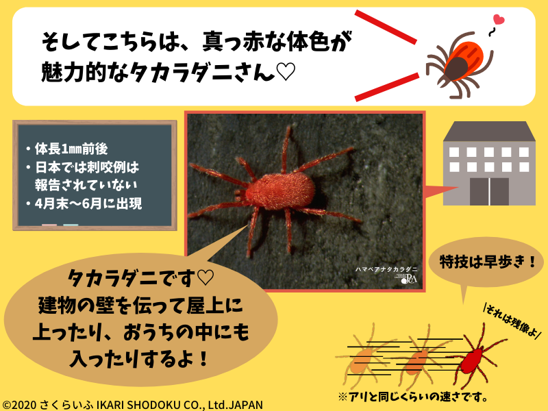 タカラダニ