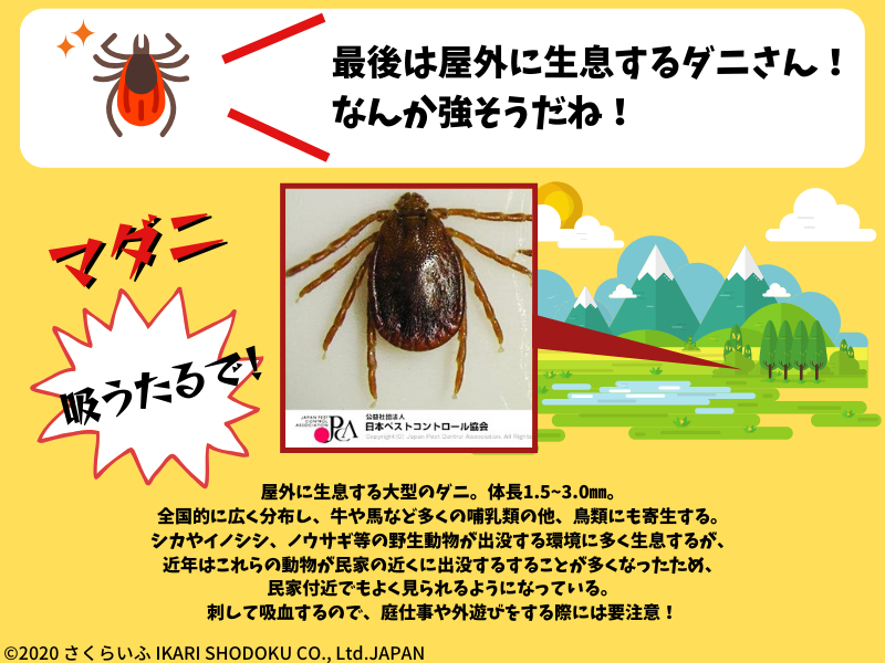 マダニ