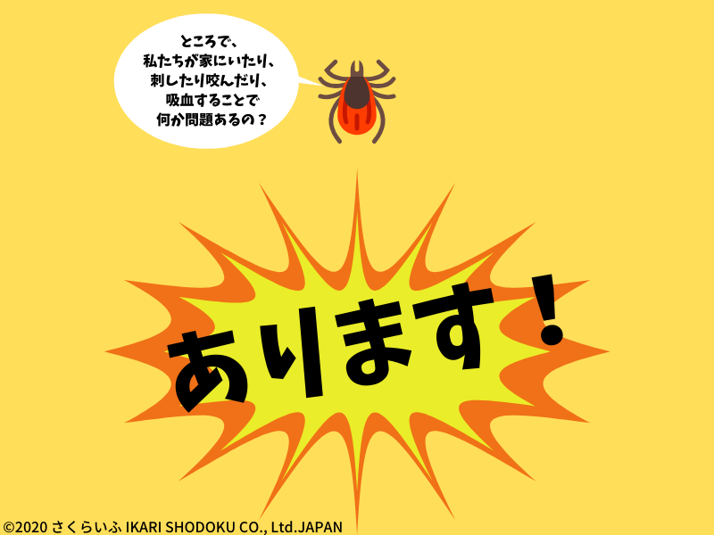 ダニの問題