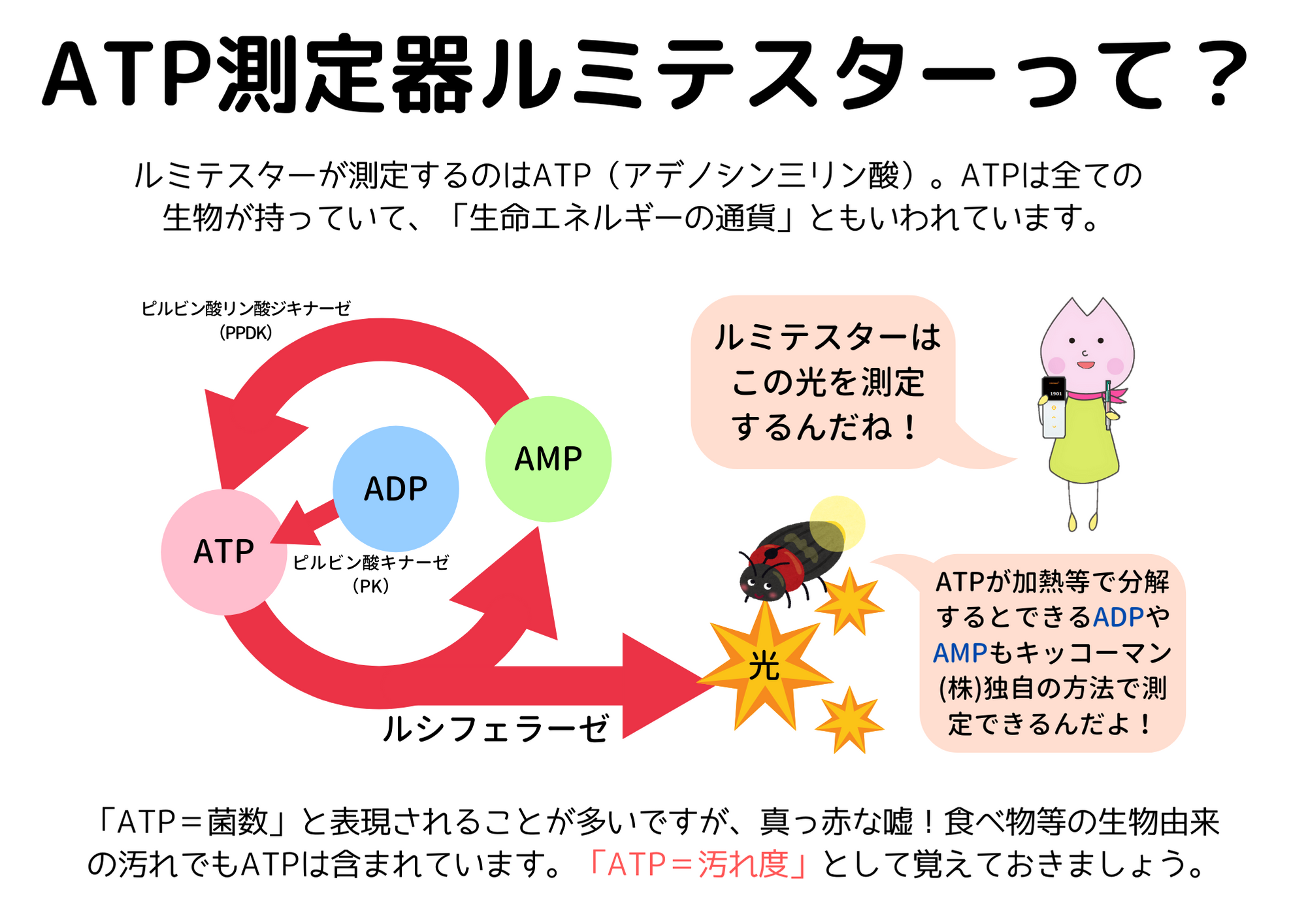 ATP測定器ルミテスターの原理