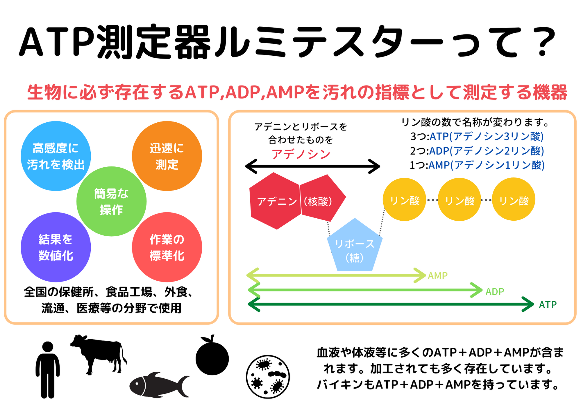 ATPとは