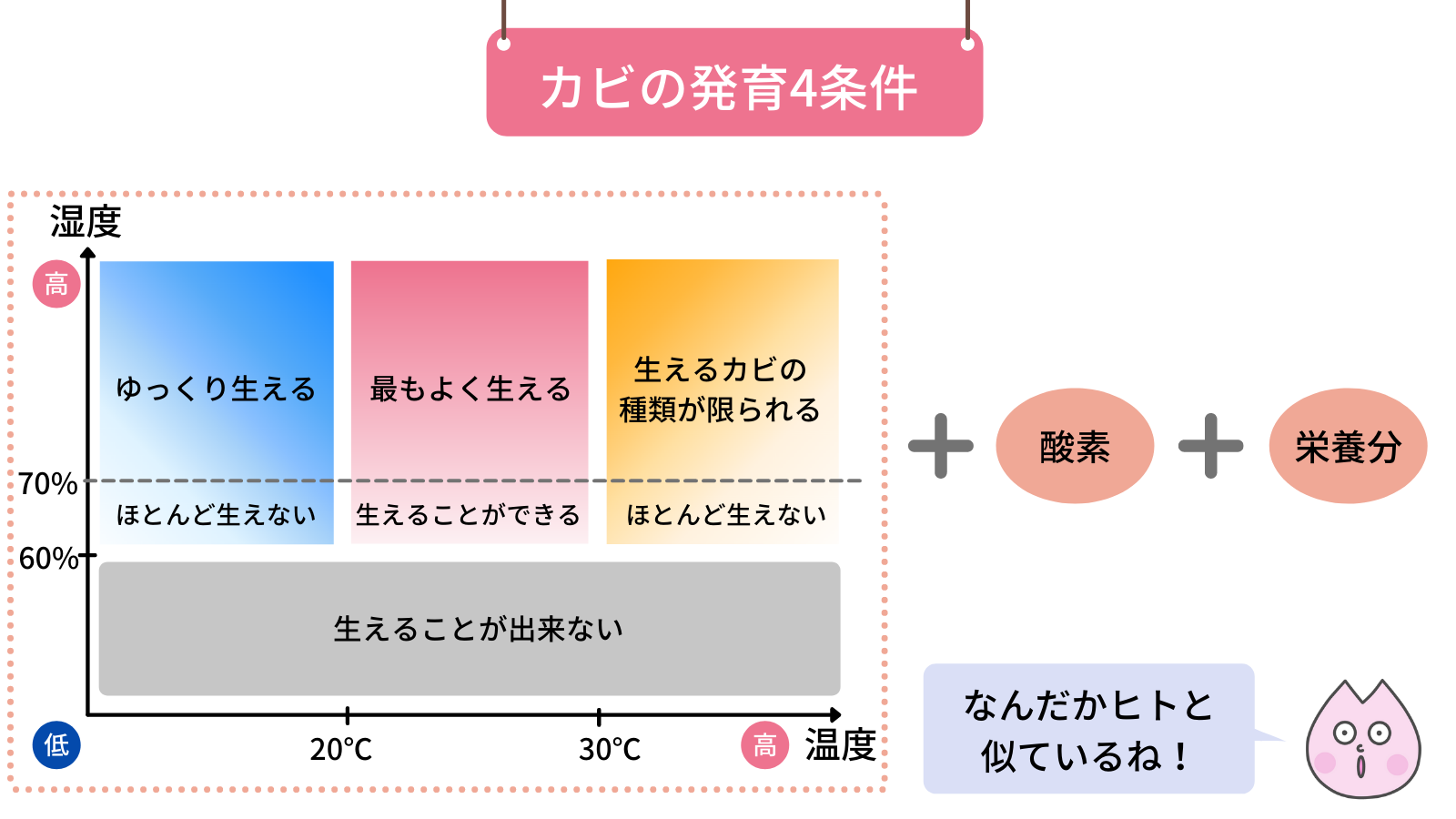 1月号「カビってどんな生きもの?」