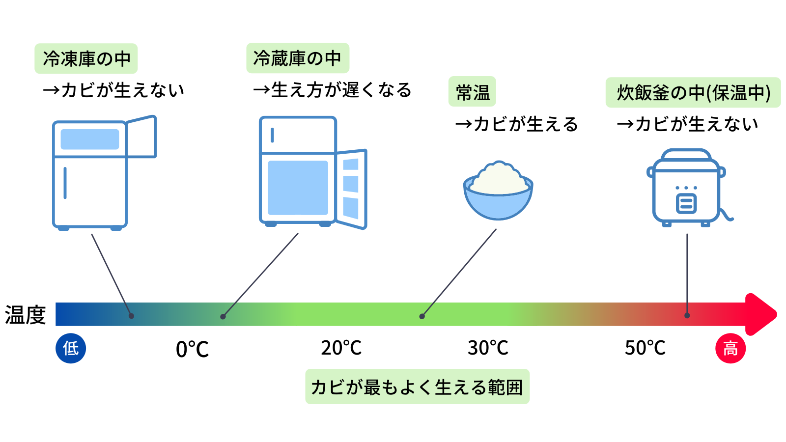 カビと温度