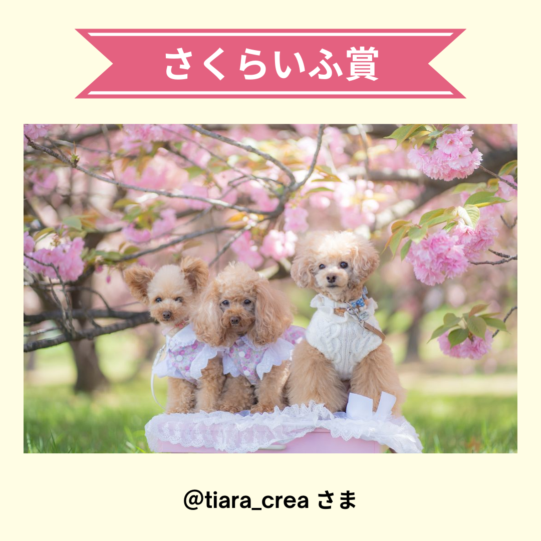 @tiara_crea様