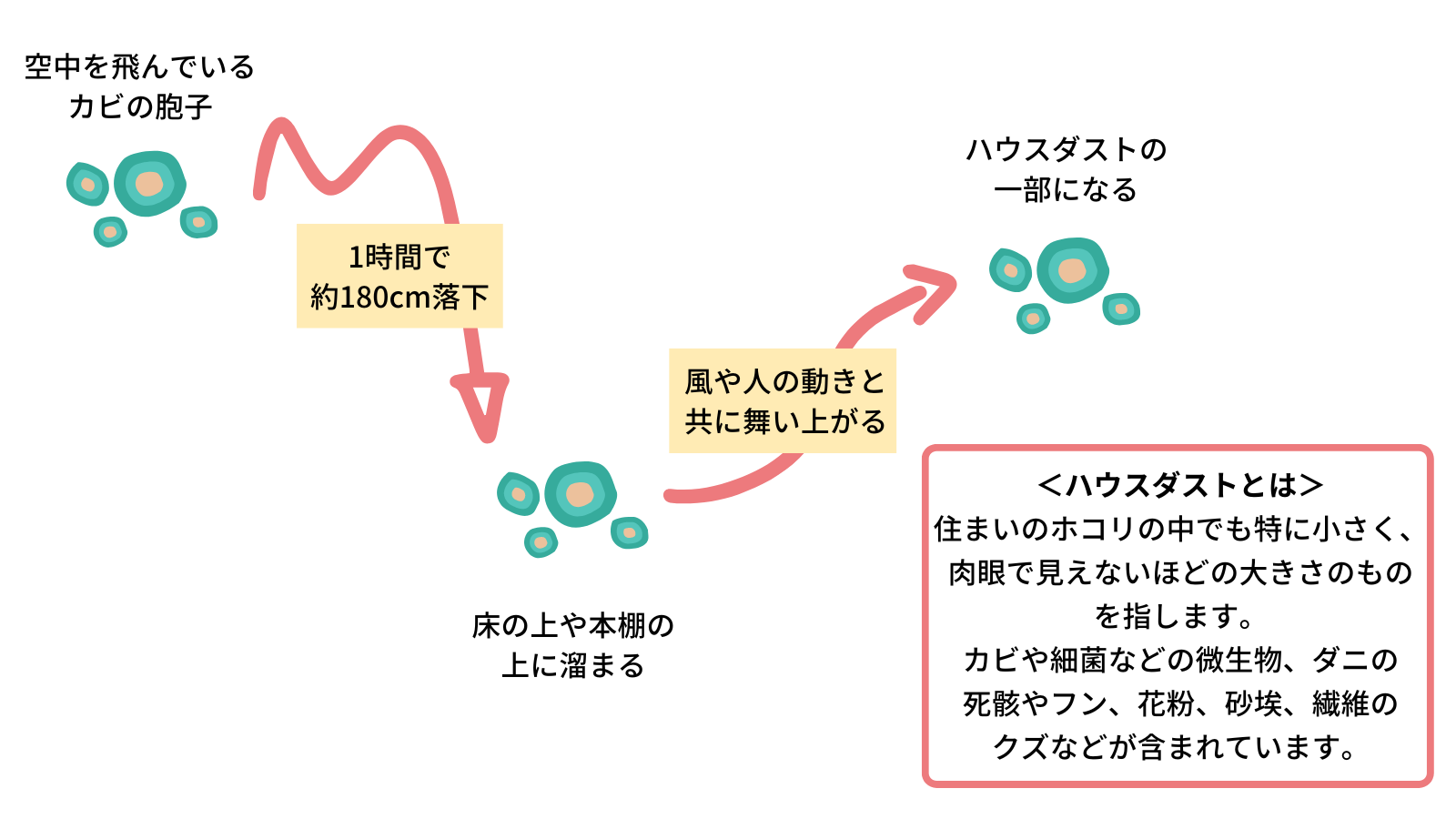 カビとハウスダスト