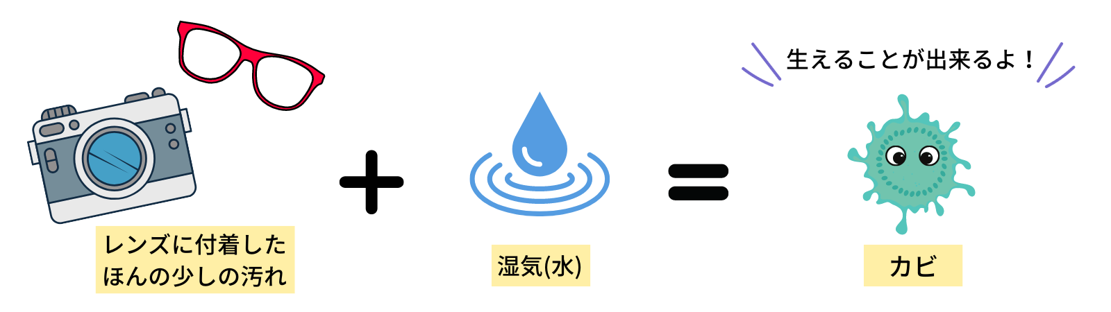 栄養と水があればレンズにもカビは生える