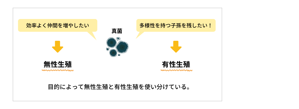 無性生殖と有性生殖の使い分け