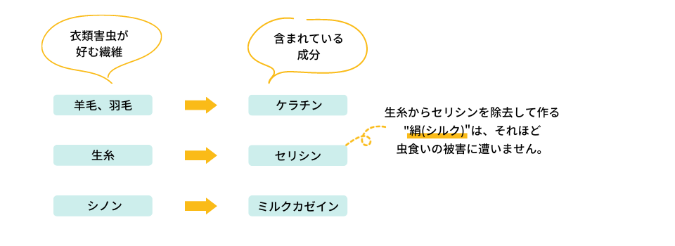 衣類害虫が好む繊維