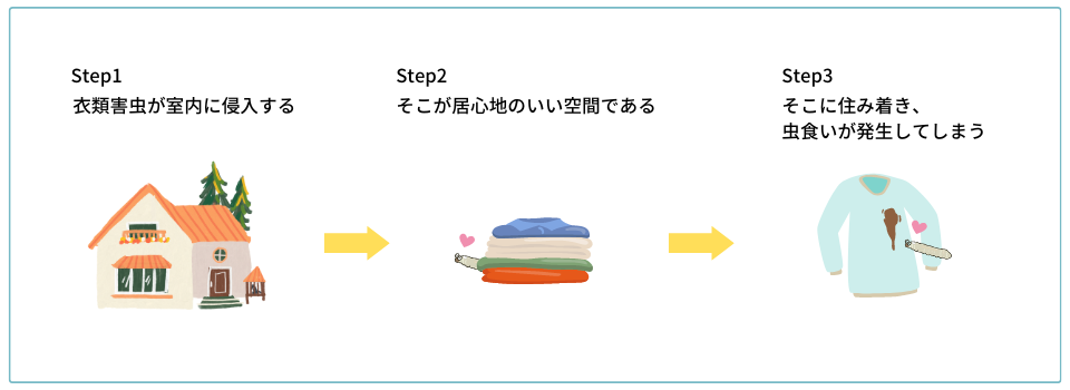 虫食い発生の条件