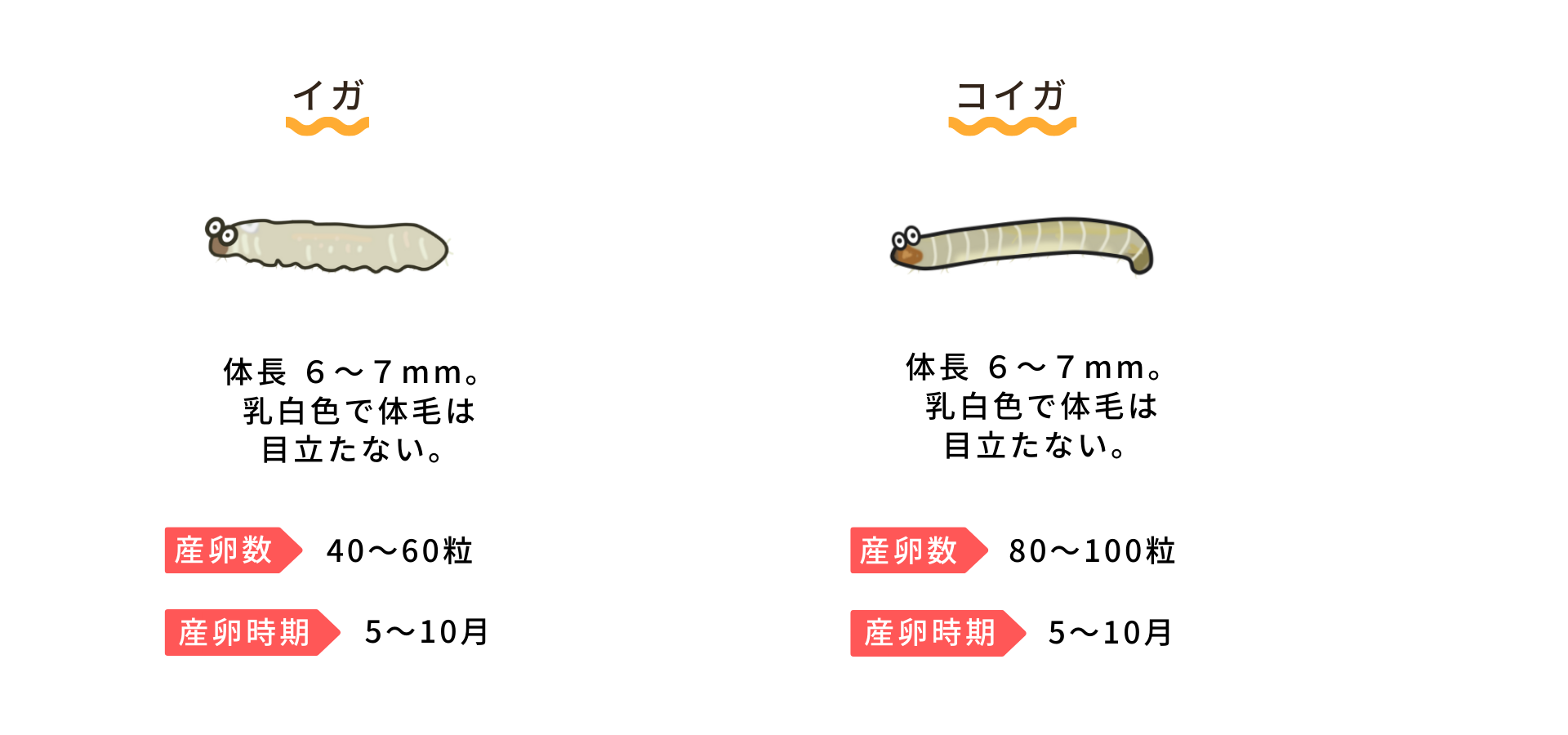 イガ の 幼虫