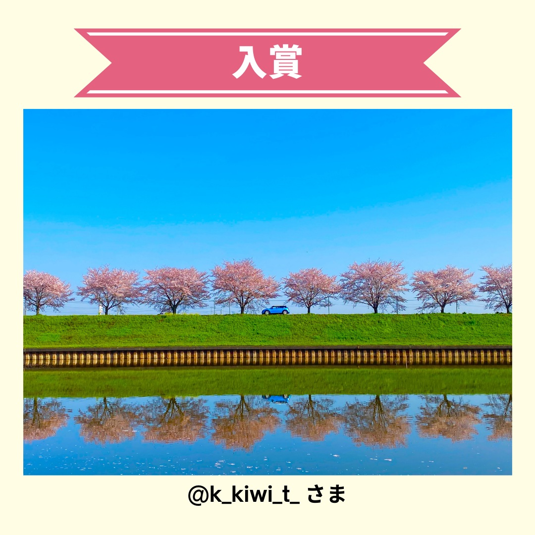 k_kiwi_t_様