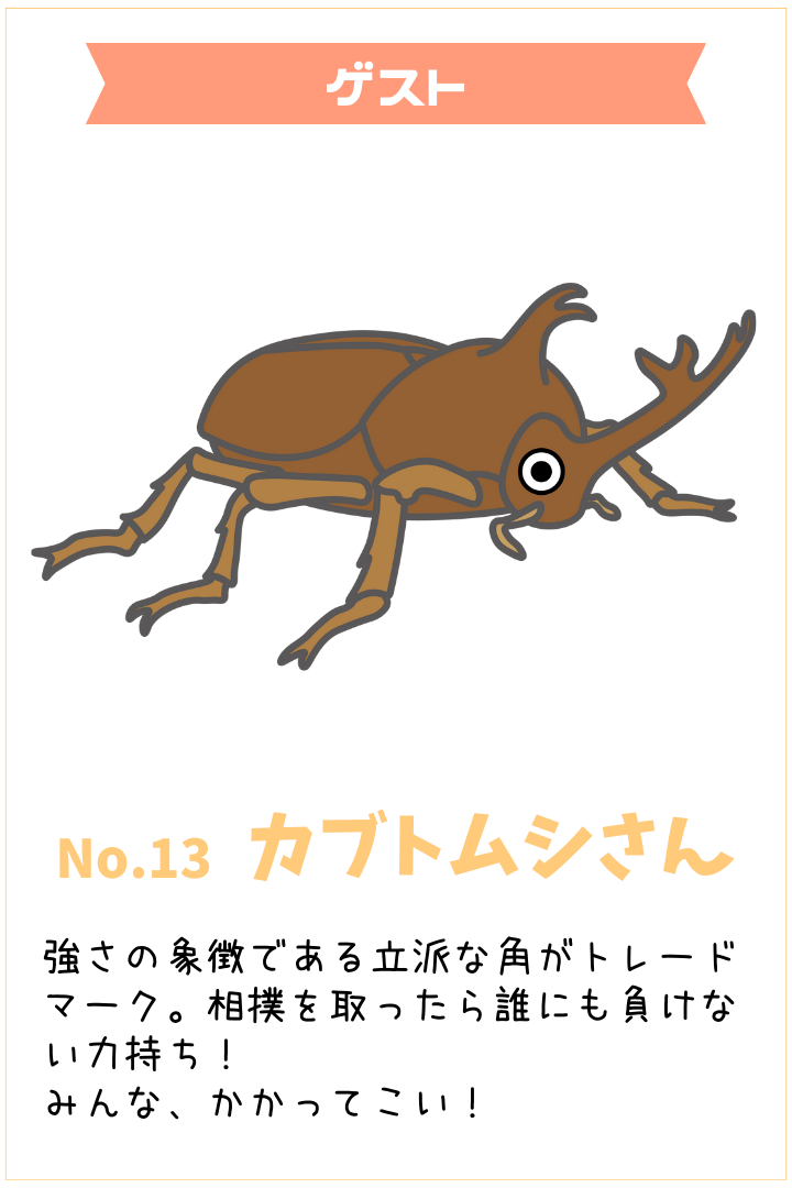 カブトムシさん