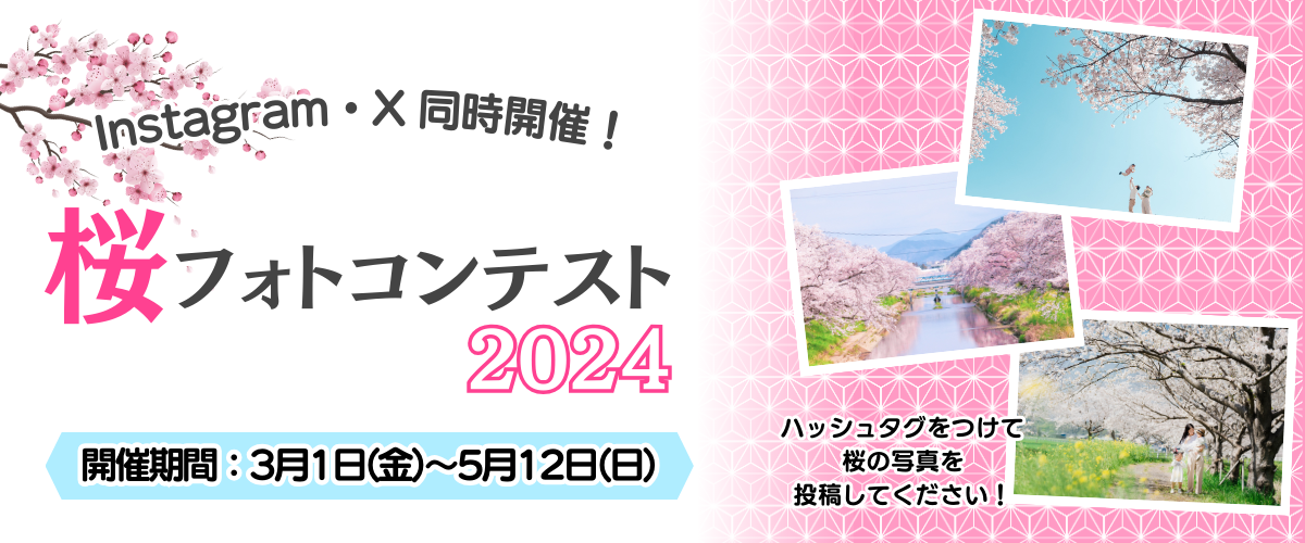 桜フォトコンテスト2024