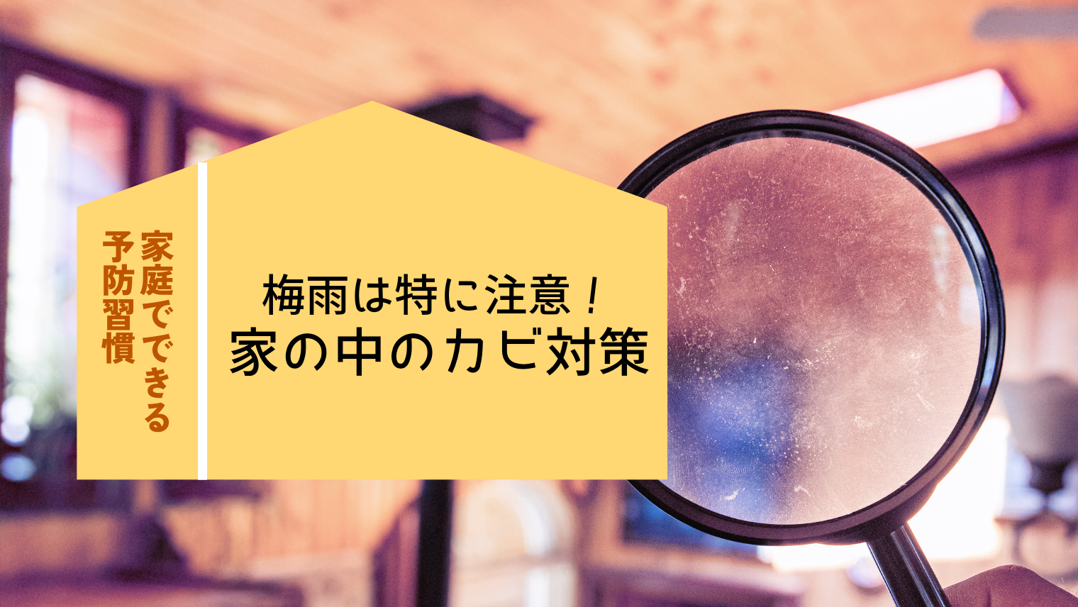 梅雨は特に注意！家の中のカビ対策