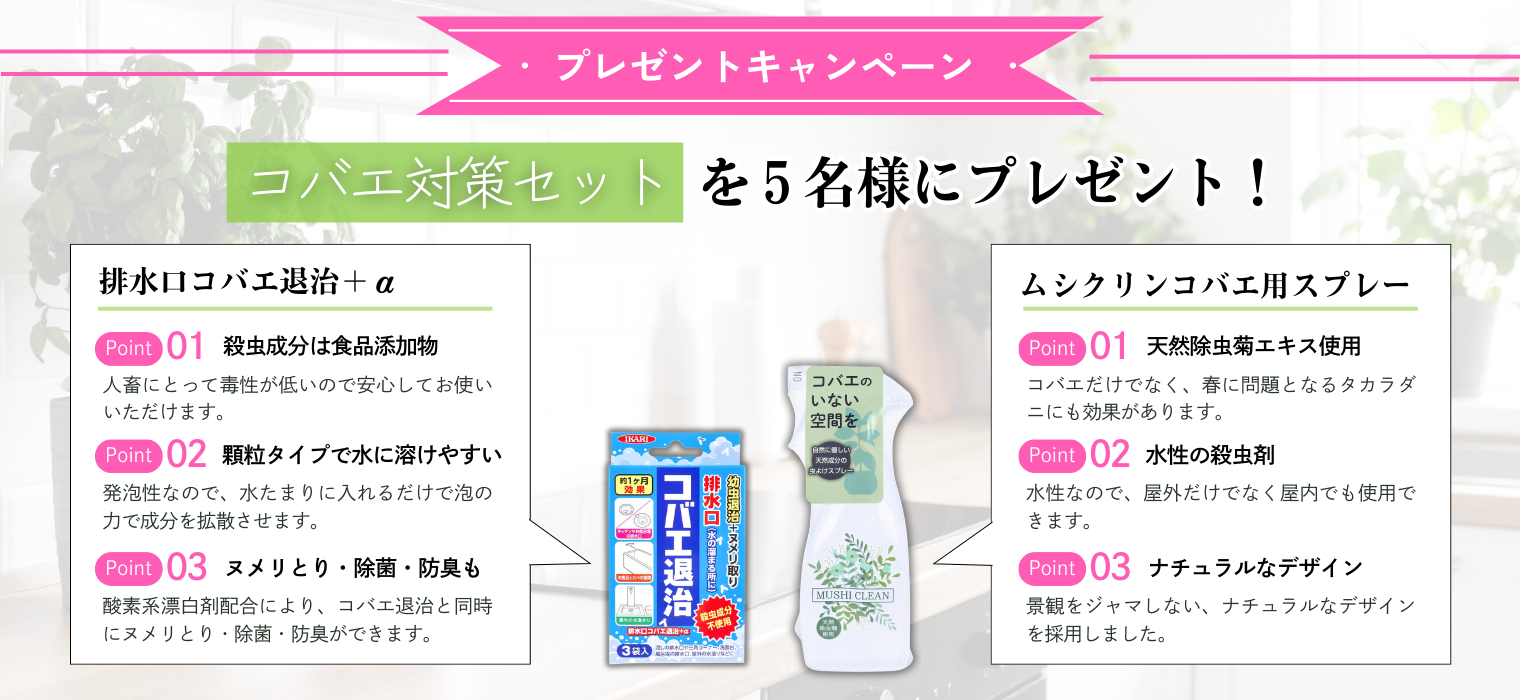 enjoyobou26年4月号プレゼントキャンペーン