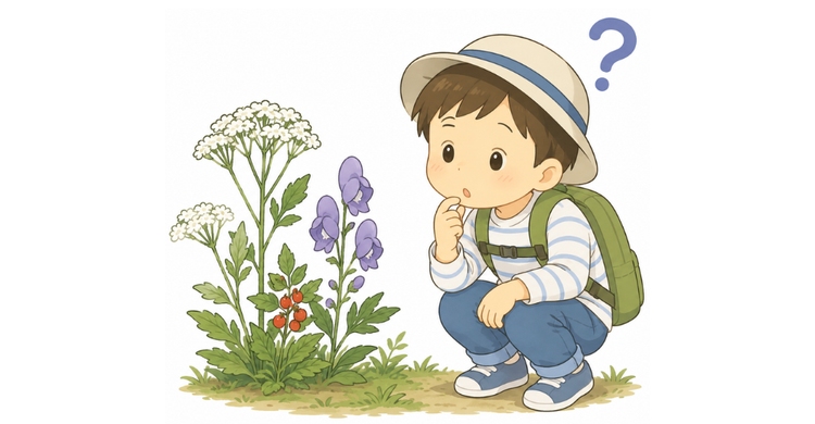親子で知っておきたい自然の中の危険を紹介したイラスト。有毒植物や自然遊びで気をつけたいポイントなど、夏のレジャーを安全に楽しむための予防情報を掲載。