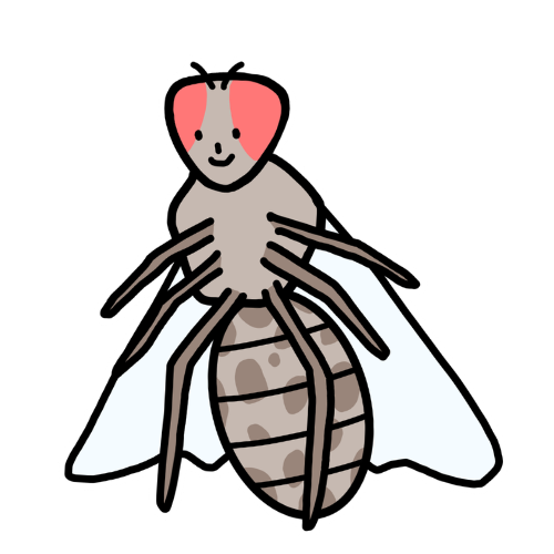 ハエタイプのキャラクター