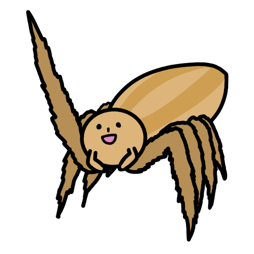 ハエトリグモタイプのキャラクター