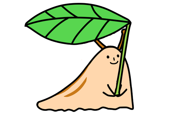 ナメクジの生態紹介画像