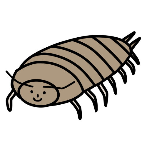 ワラジムシタイプのキャラクター